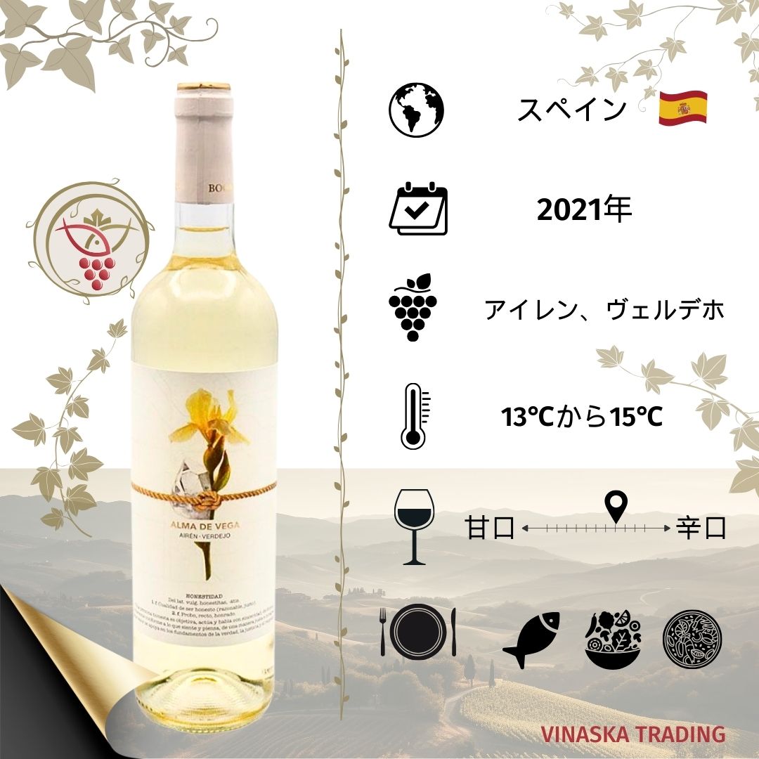 楽天Vinaska　wine　楽天市場店スペインワインALMA DE VEGA ギフトプレゼントお祝い 希少な 美味しいワイン 世界中の珍しい辛口 白ワイン。スペインの葡萄品種アイレン・ヴェルデホでできたボリュームとフレッシュさのある心地よい酸味の旨いワイン、お手頃価格でシーフード、お寿司に美味しいワインです