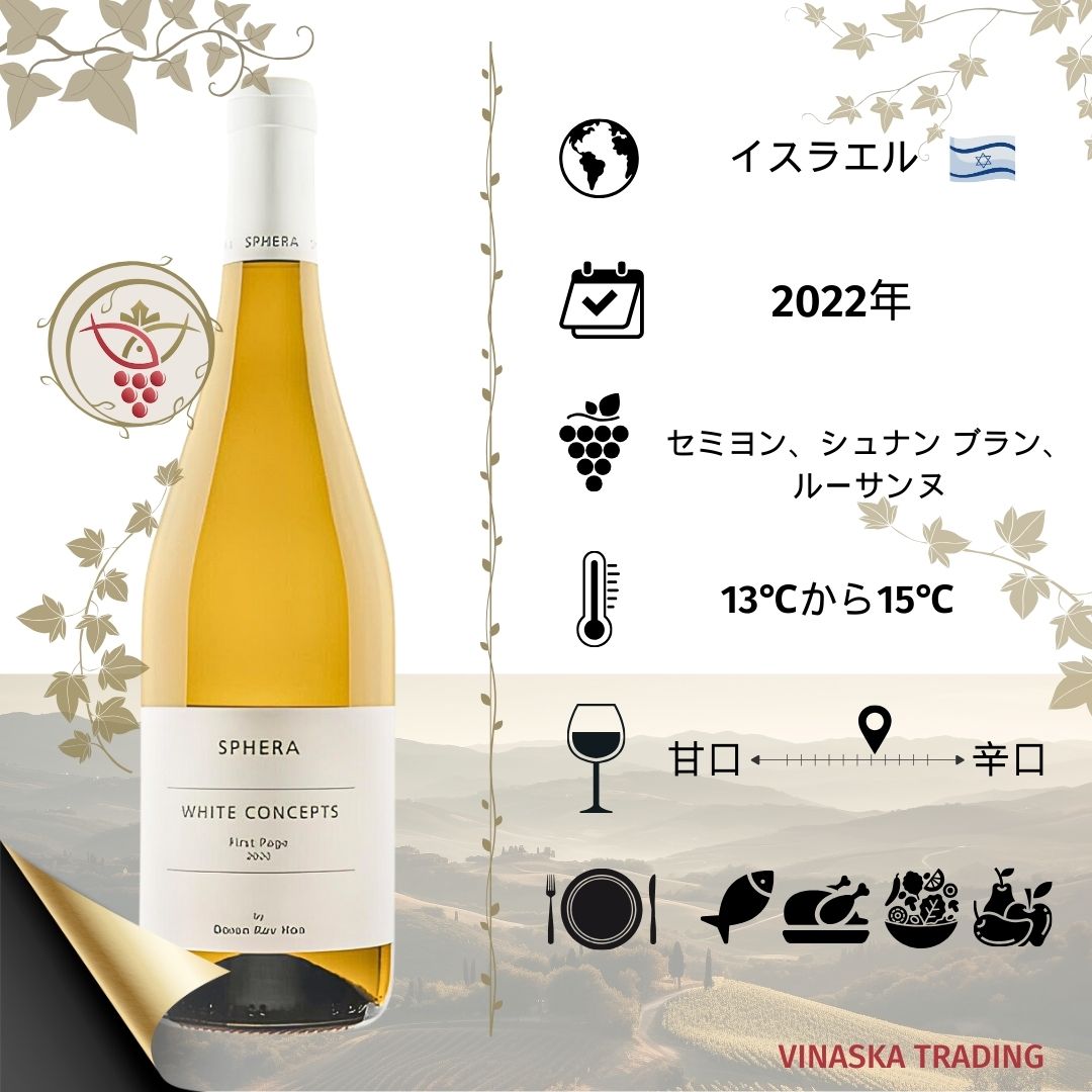 �����饨�� �磻�� SPHERA�磻�ʥ꡼ �ǹ����磻�� 3�ܥ��åȥ��ե��� �ե������� �ڡ��� ���ե���ۥ磻�ȥ����ͥ��㡼 ���ե��� ���������˥�� �֥�� ������٥��å� ���ե� �磻�󥻥å� ������� ��磻�󥻥åȿɸ�