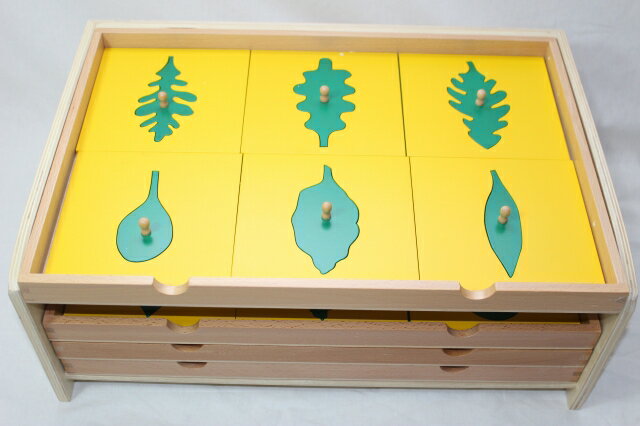 モンテッソーリ　葉のたんす　♪24種 4段♪　Montessori　Botany Cabinet　知育玩具