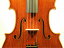 Bruno Costardi ֥롼Ρǥ 42cm Viola ӥ顡Antonio Stradivari ȥ˥ȥǥХ ǥ