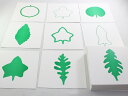 モンテッソーリ　葉のカード　♪72枚♪　Montessori　Leaf Cards　知育玩具