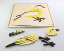 モンテッソーリ　鳥パズル　Montessori Bird Puzzle 知育玩具 2