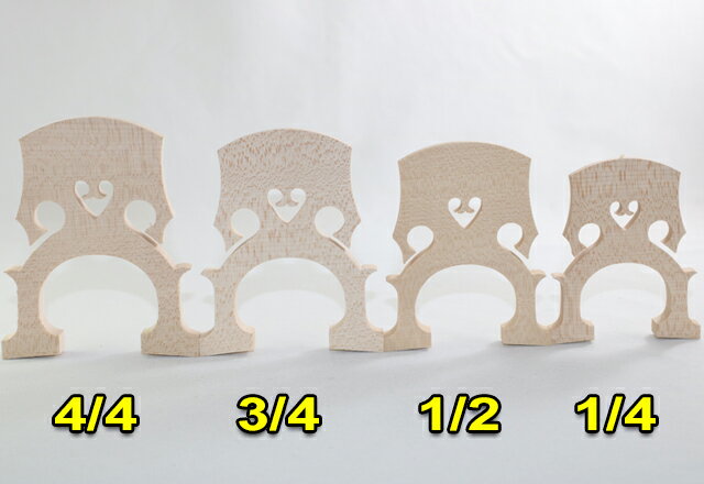 �������� Teller���ɥ����� ��Panpi��ǥ롡4����������