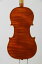 Federico Fiora 2014 Cremona フェデリーコ・フィオラ 　『Stradivari 1715 il Cremonese モデル、ワンピース・バック』 クレモナ