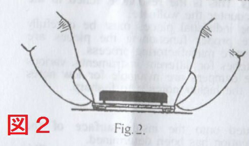 ����ա�����ߥ͡��������������ѡ�Resonator����Ĵ���