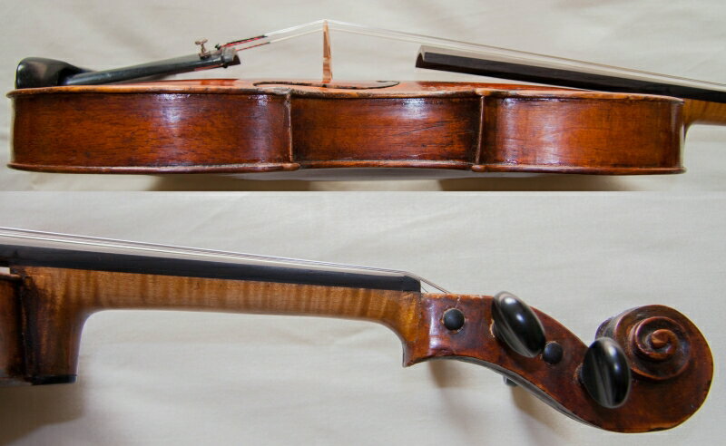 Joseph Antoni Finolli �ߥ�Ρ�18���������ꥢ���Х������