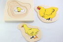 モンテッソーリ　ニワトリの一生　パズル　Montessori Life Cycle of Chicken Puzzle 知育玩具 2