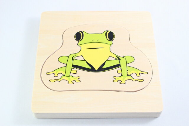 eb\[@JG̈ꐶ@pY@Montessori Life Cycle of Frog Puzzle mߋ