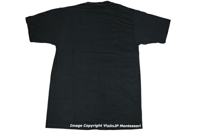 ���ƥå����ꡡT����ġ���Feminist. Icon. Pioneer.�ɡ���AMS�����