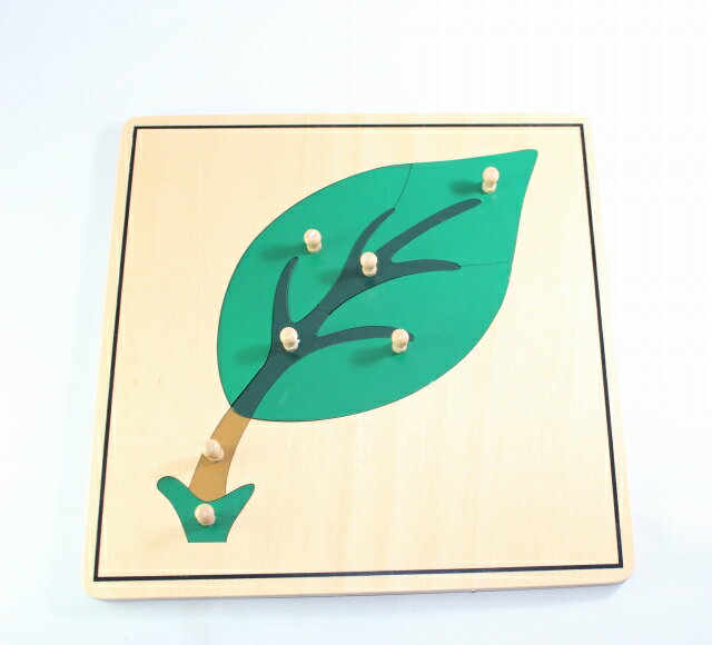 モンテッソーリ　葉パズル Montessori Leaf Puzzle 知育玩具 動物・生物　Biology 推奨年齢　1.5歳ぐらいから 木製パズルです。取っ手の部分も木製です。昆虫・動物・植物への興味をさらに深めるとともに各部位のや構造を学びます。 ボードの大きさ：横23.6 x 縦23.6 cm x 厚み 9mm(取っ手の高さ含まず。) ** 細かなモノや角があるものもありますので、3歳以下のお子様に与える際はご注意くださいませ。親の見守る前で遊ばせるようにしてください。誤飲やケガなどの責任は当店は負えません。免責にご同意いただいたうえでご購入お願い申し上げます。ゆうパックでの発送です。