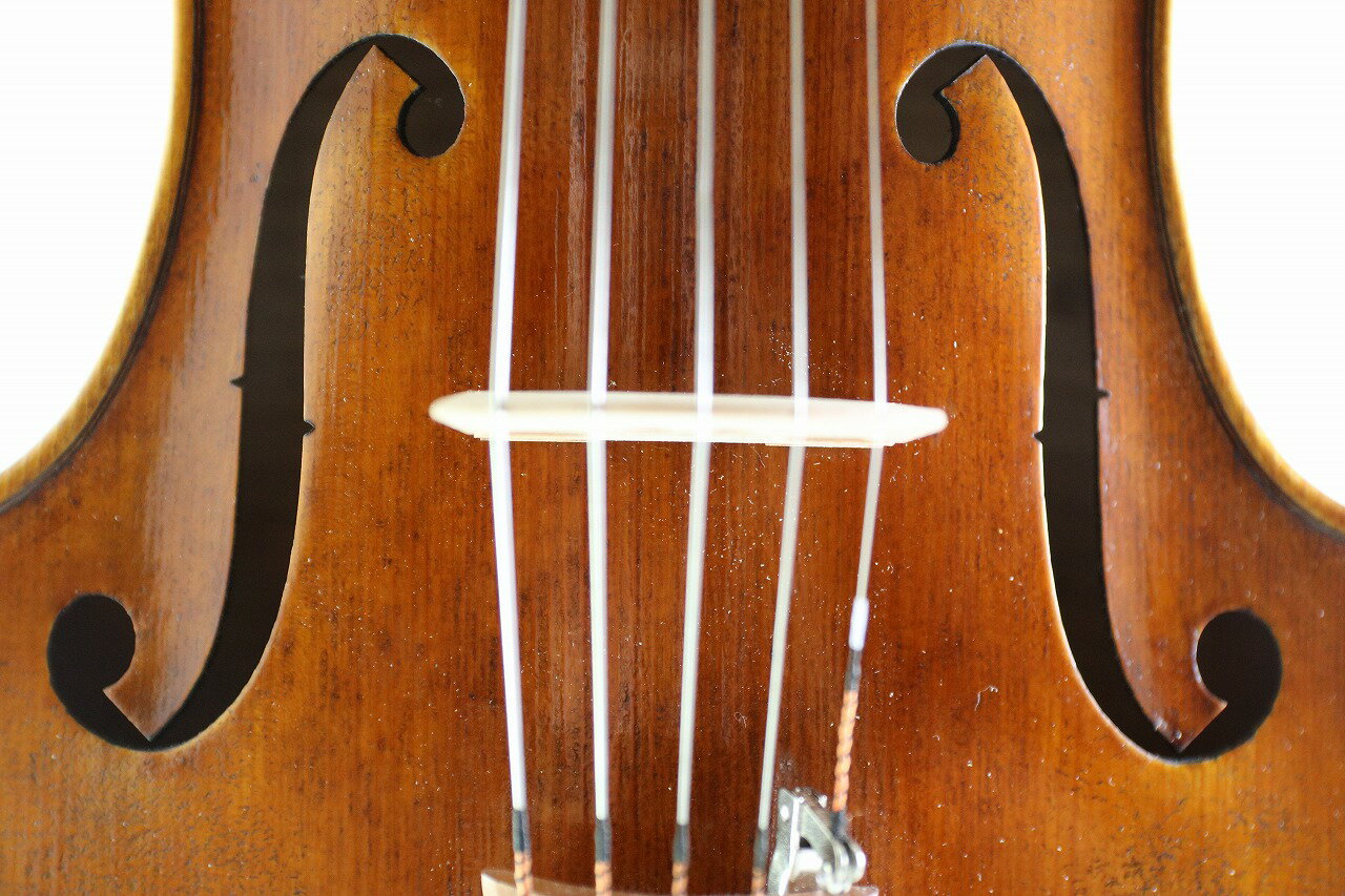 16.5インチ　♪5弦、ビオラ♪　420mm ♪マスター・レベル♪　ストラド・モデル 50年物スプルース材