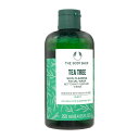 UE{fBVbv eB[c[XLNAOtFCVEHbV250ml (TheBodyShop) Tea Tree Skin Clearing Facial Wash