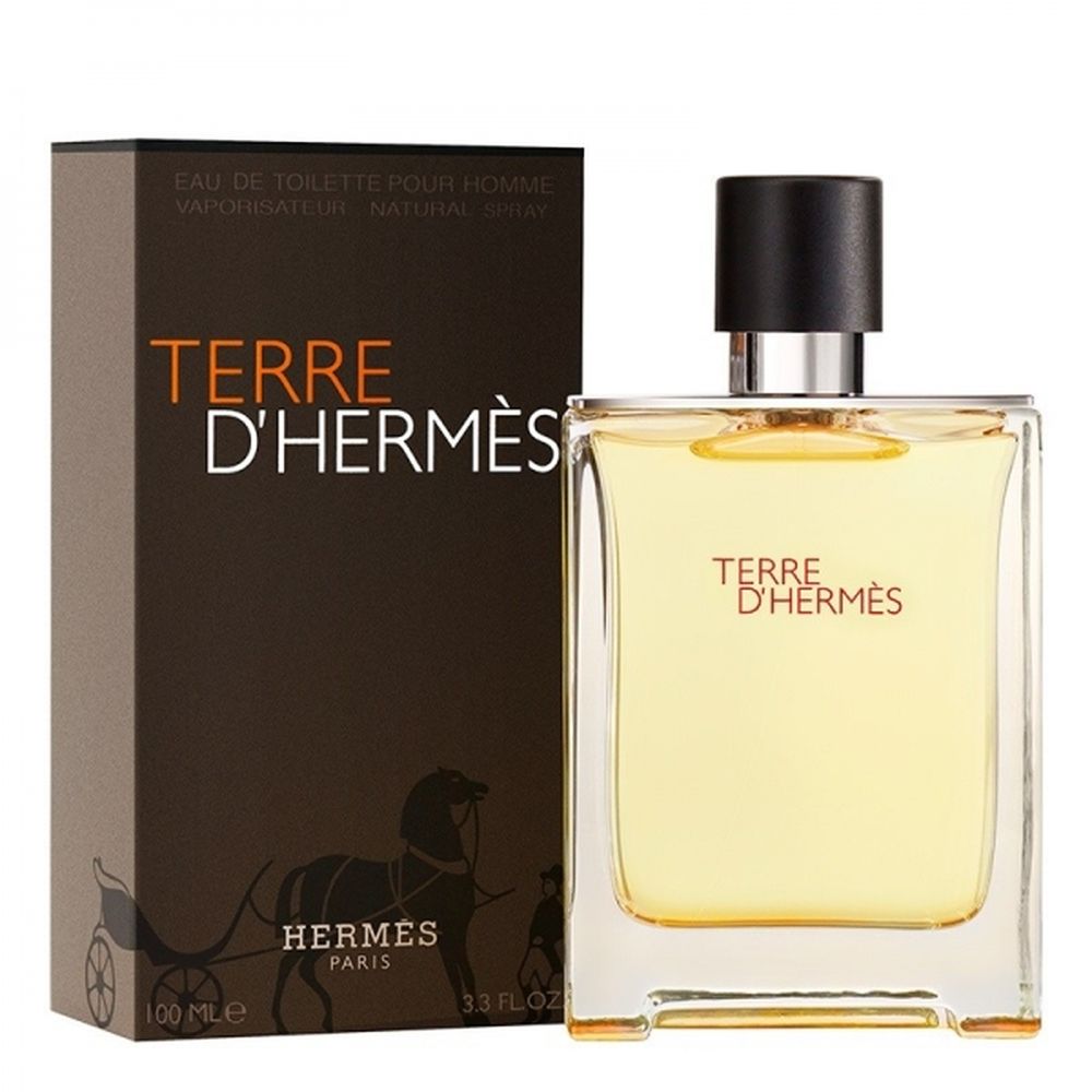 エルメス テール ドゥ エルメス EDT オードトワレ SP 100ml　HERMES TERRE D HERMES EAU DE TOILETTE SPRAY