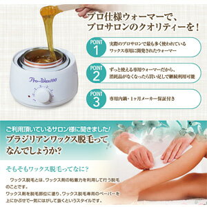 REPICA(リピカ)『ワックス脱毛スターターキット6点セット(010-1)』