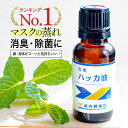 【P5倍】 ハッカ油 20mL 武内製薬 ア