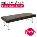 【25日P5倍】 マッサージベッド BASIC 無孔 H型脚タイプ W70/W75×L190 FV-217-H マッサージ ベッド マッサージベッド 整体 ベッド 整体台 エステベッド マッサージ台 ベット 施術ベッド