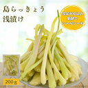 浅漬け 島らっきょう 塩漬け 国産 漬物 あっさり シャキシャキ 200g 島ラッキョウ 父の日 母の日 お酒のおつまみ 単品 お試し