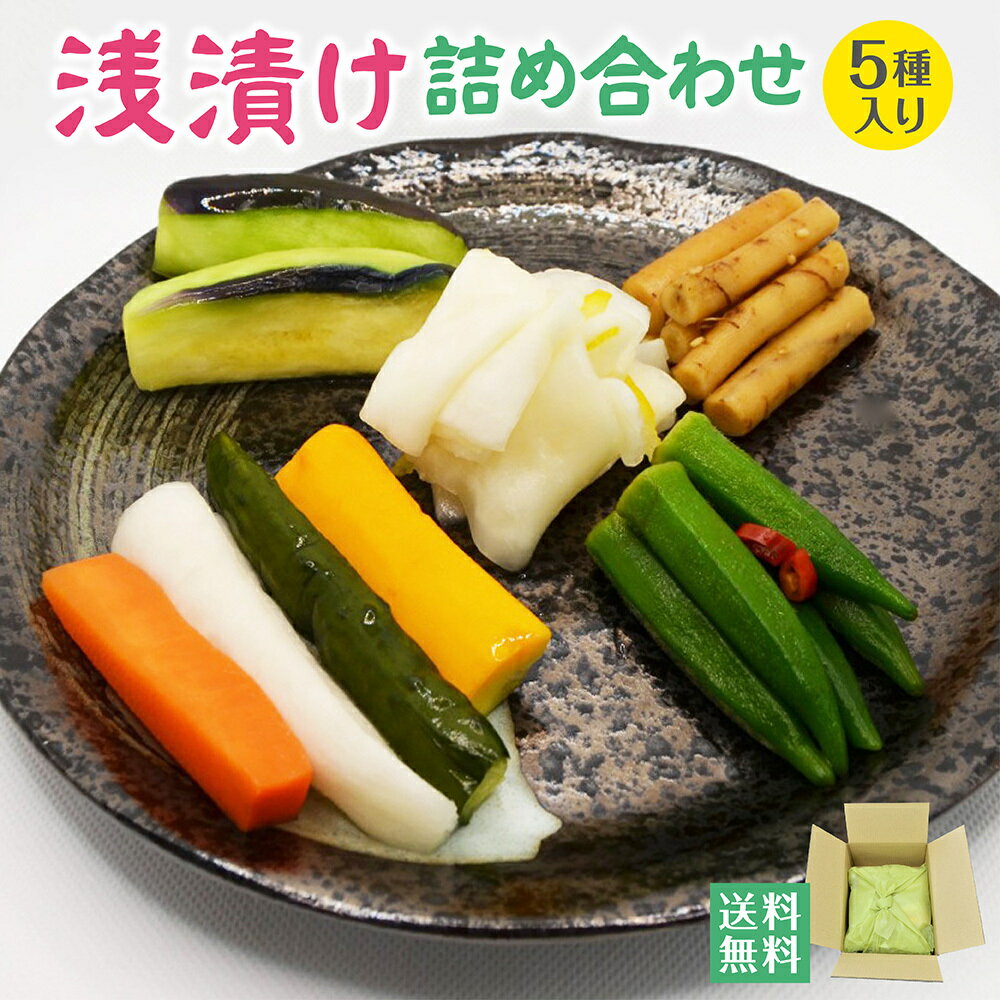 漬物 詰め合わせ 父の日 5点 漬物 ギフト 送料無料 浅漬け セット 合計 800g 低塩製法 みずなす オクラ ピクルス ゆず千枚 胡麻ごぼう お土産 プレゼント 手土産 御中元 配送日時指定OK