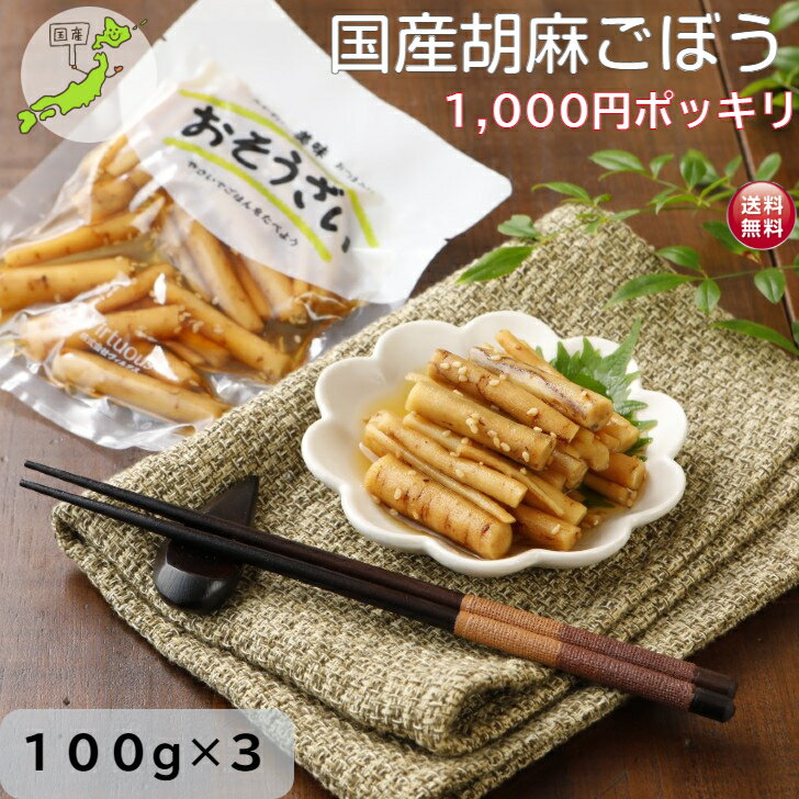 国産 胡麻ごぼう 1000円ポッキリ 送料無料 ごぼう 甘辛煮 ごま 100g×3 ポイント消化 まとめ買い ごはんのおとも お弁当 おせち 調理不要 常備菜 和惣菜 和食 お惣菜 そうざい 和風惣菜 煮物 真空パック おかず ゴボウ ふくしま