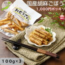 国産 胡麻ごぼう 1000円ポッキリ 送料無料 ごぼう 甘辛煮 ごま 100g×3 ポイント消化 まとめ買い ごはんのおとも お弁当 おせち 調理不要 常備菜 和惣菜 和食 お惣菜 そうざい 和風惣菜 煮物 真空パック おかず ゴボウ