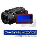 SONY デジタルビデオカメラ ハンディカム FDR-AX45A 保護 フィルム OverLay Eye Protector 9H 液晶保護 9H 高硬度 ブルーライトカット