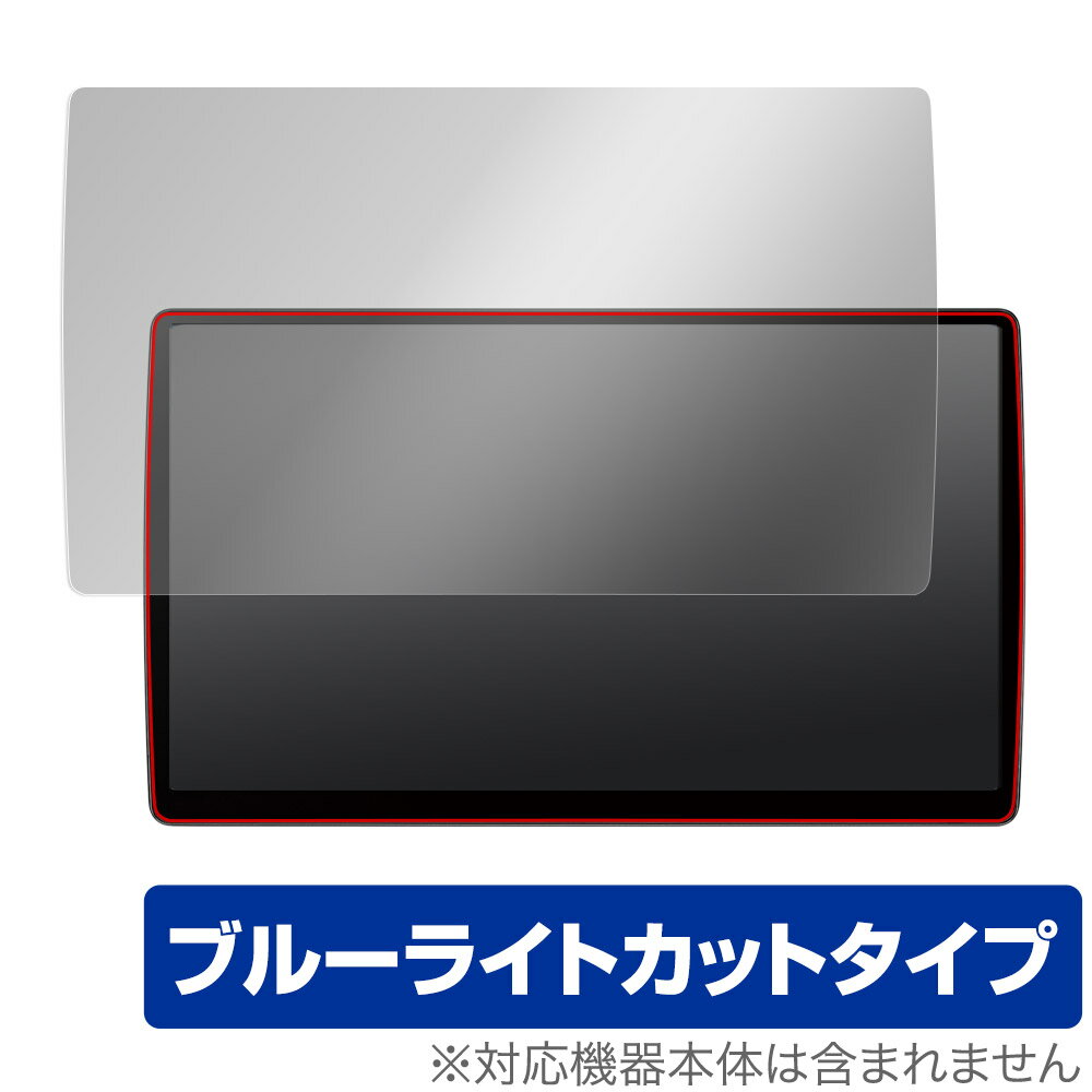 Panasonic カーナビ Strada CN-F1X10BGD CN-F1X10GD 保護 フィルム OverLay Eye Protector パナソニック ストラーダ ブルーライトカット