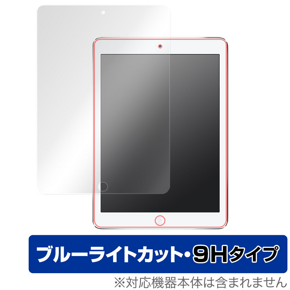 iPad 第6世代 iPad 第5世代 iPad Pro 9.7インチ iPad Air 2 iPad Air 保護 フィルム OverLay Eye Protector 9H 高硬度 ブルーライトカット