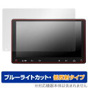 ATOTO A6 PF (A6 Performance) A6G209PF 保護 フィルム OverLay Eye Protector 低反射 アトト カーナビ ブルーライトカット 反射防止