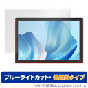 CHUWI Hi10 Xpro 保護 フィルム OverLay Eye Protector 低反射 ツーウェイ タブレット 液晶保護 ブルーライトカット 反射防止