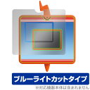 ポケットモンスター キミもポケモン博士! スマホロトムPad 保護 フィルム OverLay Eye Protector 液晶保護 目に優しいブルーライトカット(3)