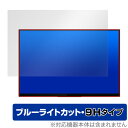 EHOMEWEI RQ-156PU / RQ-156NU 保護 フィルム OverLay Eye Protector 9H for モバイルモニター 液晶保護 9H 高硬度 ブルーライトカット(2)