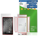 SMSL DS20 表面・背面・上面・底面・側面 保護 フィルム OverLay Magic for DAP 傷修復 耐指紋 指紋防止 コーティング