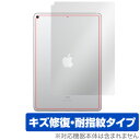 iPad Air 3 Wi-Fiモデル用 背面 保護 フィル