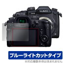 LUMIX GH5S GH5 保護 フィルム OverLay Eye P