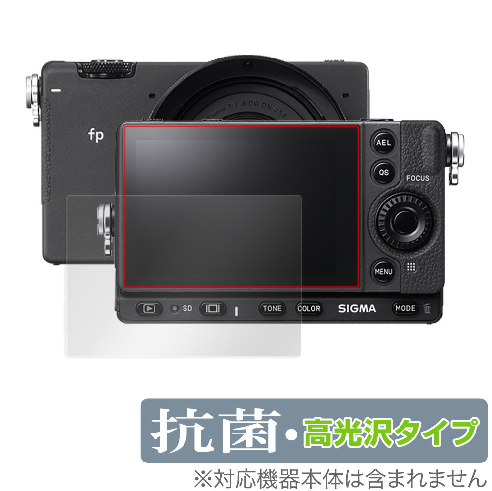 SIGMA fp L fp 保護 フィルム OverLay 