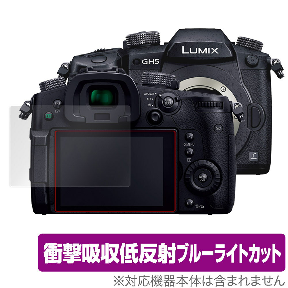 LUMIX GH5S GH5 保護 フィルム OverLay Absor