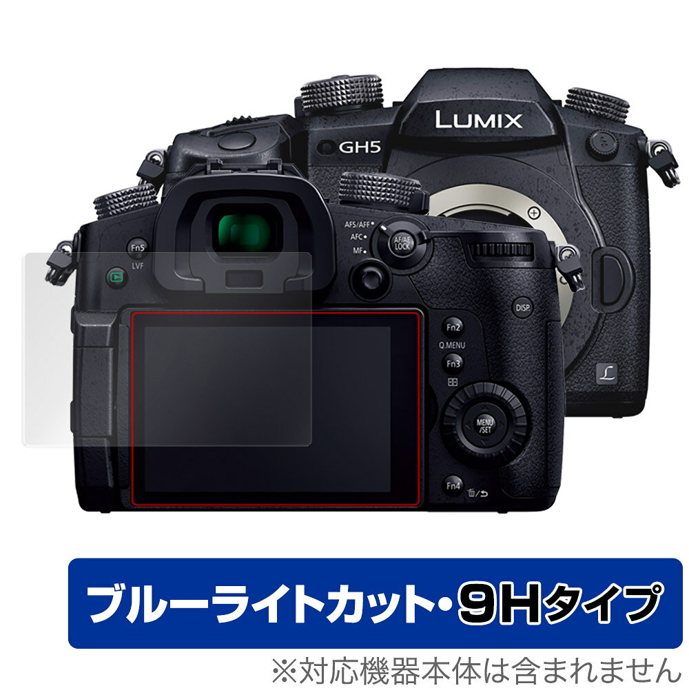 LUMIX GH5S GH5 保護 フィルム OverLay Eye Protector 9H for パナソニック ルミッ...