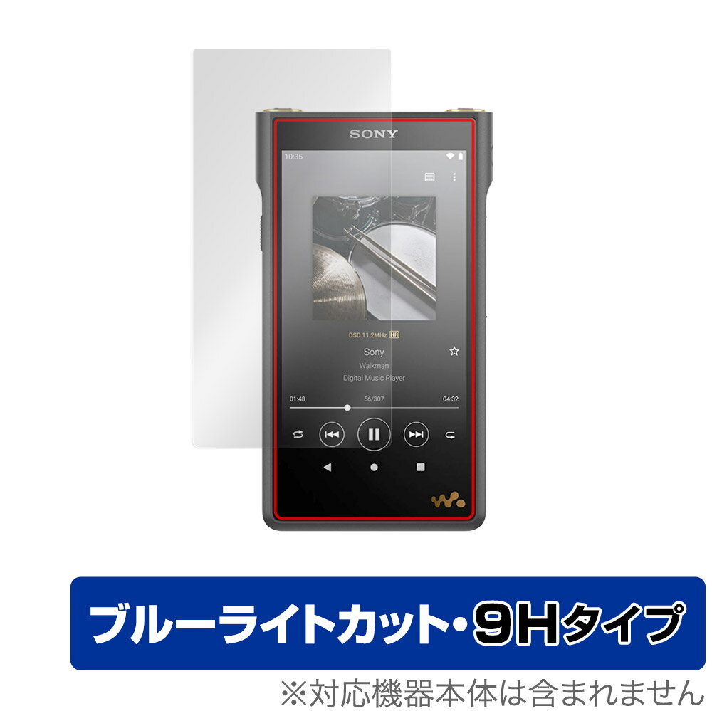 SONY ウォークマン WM1シリーズ NW-WM1ZM2 NW-WM1AM2 保護 フィルム OverLay Eye Protector 9H for WALKMAN WM1 NWWM1ZM2 NWWM1AM2 高硬度 ブルーライトカット