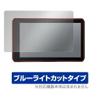 GARMIN Zumo XT 保護 フィルム OverLay Eye Protector for ガーミン モーターサイクルナビ ズーモ XT 液晶保護 ブルーライトカット(2)