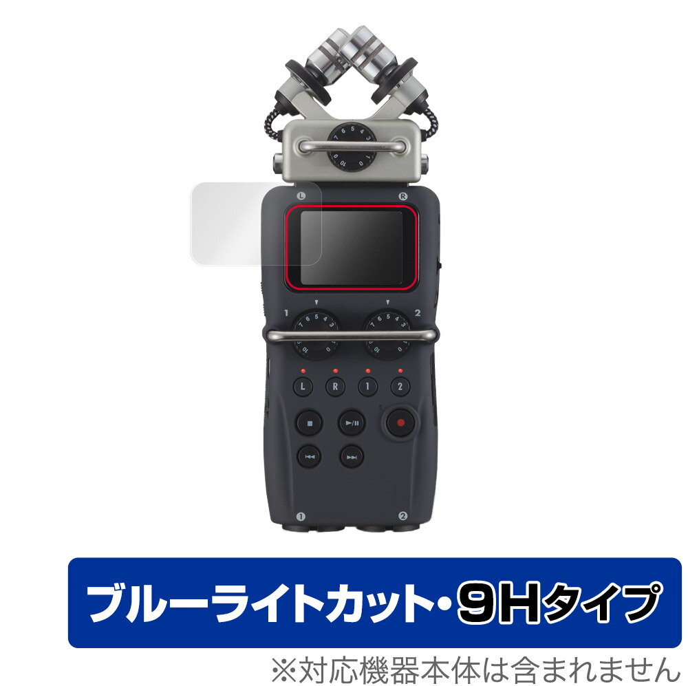 ZOOM H5 保護 フィルム OverLay Eye Protecto