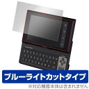 EX-word RISE 保護フィルム OverLay Eye Protector for EX-word RISE 液晶 保護 フィルム シート シール 目に...