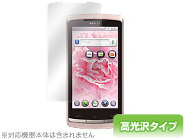 REGZA Phone IS11T 保護フィルム OverLay Bri