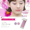 9月フラワーメイク「秋桜」グローオン 2色チーク カマタメイクアップスクール VISAGE ヴィザージュ 旧シュウウエムラ コスメ 美容 化粧品 メイクアップ 20代 30代 40代 50代 コスメティック 39ショップ