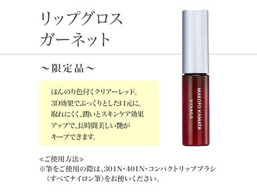 リップ グロス ガーネット 〜限定品〜【カマタメイクアップスクール コスメ 化粧水 クレンジング 旧シュウウエムラ リップ アイシャドウ パレット VISAGE ヴィザージュ】