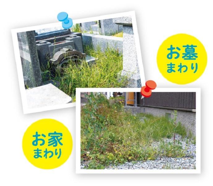 ウエ・ルコ 水に溶かすボール型除草剤 本体 8粒入【非農耕地用】
