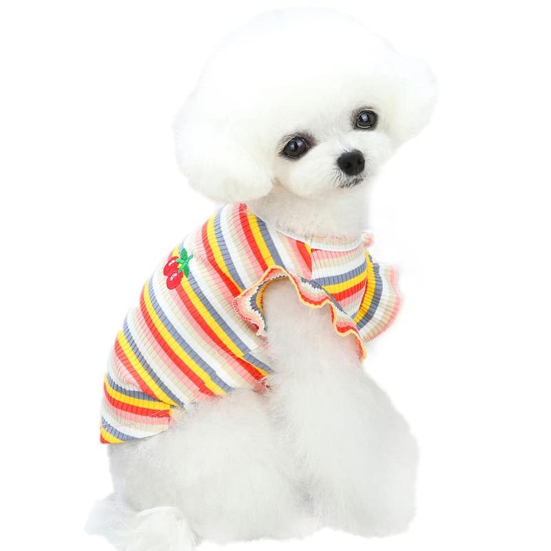 ZYYRSS �ڥå��� ���餫�� ����T����� ���� ������ �İ���Ⱦµ ���󥯥ȥå� ξ­�Υڥå��� �ղƽ� �ץ륪���С� ���� ����� �̵� ���� ���Ф�...