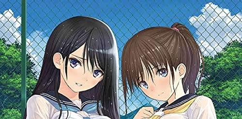 C98 Tony T2ARTWORKS B2ダブルスエードタペストリー