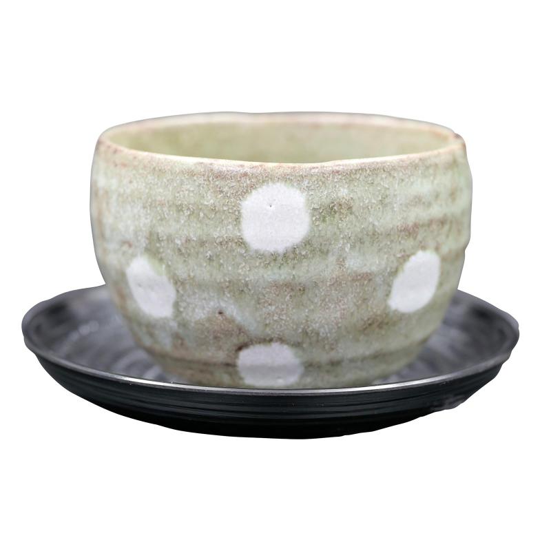 美濃焼 抹茶茶碗 湯呑み 陶器 約径9.5×高さ7cm 約250ml 電子レンジ 食洗機対応 茶托付き ゆったり碗 白椿 日本製 UM-00165