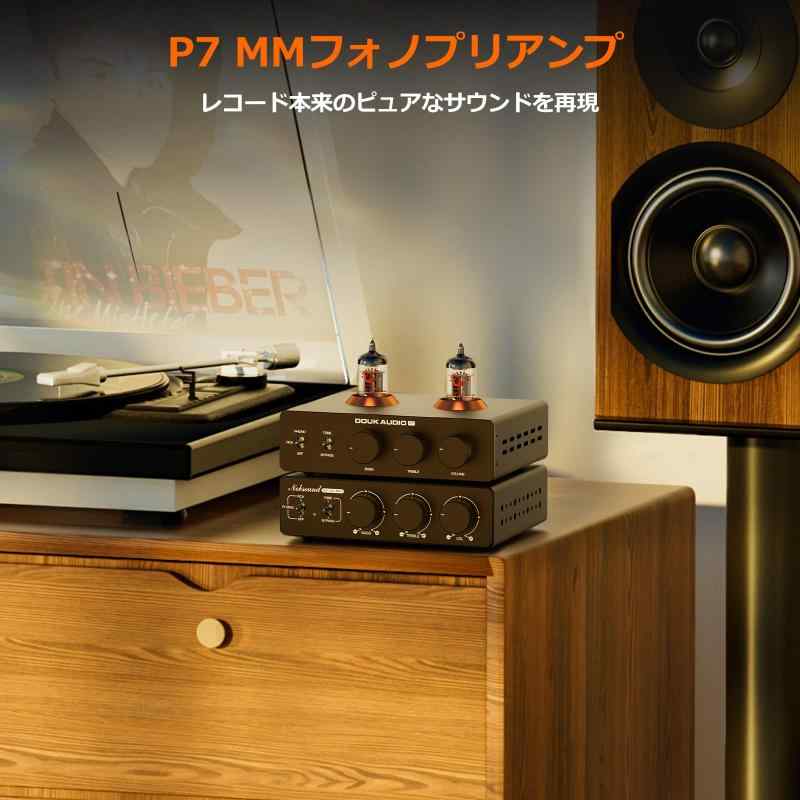 Douk Audio P7 真空管プリアンプ レコードプレーヤー フォノイコライザー: MMフォノ/XLR出力 PSVANE ECC83 新生産管採用 HIFI用 高域低域調整可能 ハイパスフィルター内蔵 レコード&デジタル音源対 vision-stores-10191813 ビジョンストア サンプル画像3