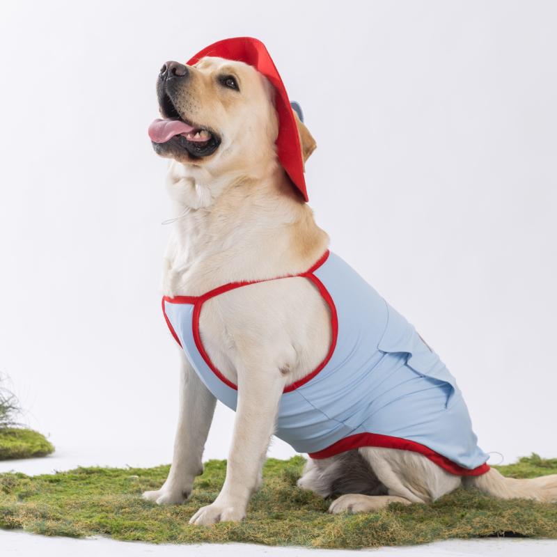 ペット服 ペットウェア 女の子 男の子 オールシーズン フード付き ベスト 中型犬 大型犬 ゴールデンレトリバー サモエド 冷却素材 接触冷感 散歩用 部屋着 お出かけ用 軽量 通気性 快適 かわいい ドッグウェア・素材: ポリエステル・カテゴリ: ペットウェア・スタイル: カジュアル・性別: ユニセックス・カラー: 賽綸パープル（大・帽子/保冷剤付き）、ボンディブルー（大・帽子/保冷剤付き）、ボンディブルー（小・帽子/保冷剤付き）、賽綸パープル（小・帽子/保冷剤付き）・サイズ: 3XL（推奨体重10-15kg）、4XL（推奨体重15-20kg）、5XL（推奨体重20-25kg）、XS（推奨体重0.5-1.5kg）、S（推奨体重1.25-2.5kg）、M（推奨体重2.5-4kg）、L（推奨体重4-5.5kg）、XL（推奨体重5.5-7.5kg）、XXL（推奨体重7.5-10kg）
